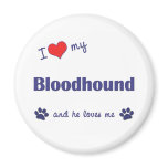 I Love My Bloodhound (Male Dog) magnets
