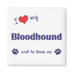 I Love My Bloodhound (Male Dog) Fridge Magnets