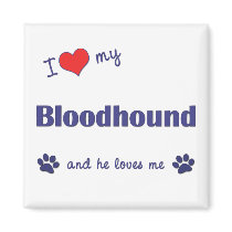 I Love My Bloodhound (Male Dog) Fridge Magnets