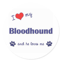 I Love My Bloodhound (Male Dog) Round Sticker