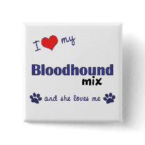 I Love My Bloodhound Mix (Female Dog) Pinback Button