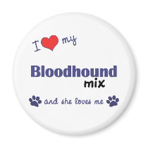 I Love My Bloodhound Mix (Female Dog) Fridge Magnets