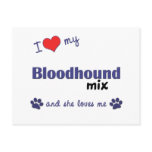 I Love My Bloodhound Mix (Female Dog) postcards