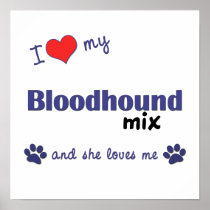 I Love My Bloodhound Mix (Female Dog) Poster Print
