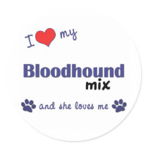 I Love My Bloodhound Mix (Female Dog) Round Stickers