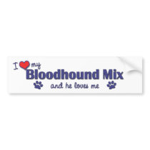 I Love My Bloodhound Mix (Male Dog) Bumper Stickers