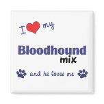 I Love My Bloodhound Mix (Male Dog) magnets