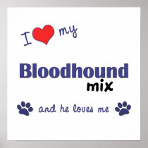 I Love My Bloodhound Mix (Male Dog) Poster Print