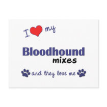 I Love My Bloodhound Mixes (Multiple Dogs) Postcards