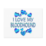 I Love My Bloodhound Postcards