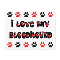 I Love My Bloodhound