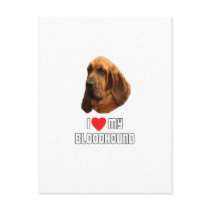 I Love My Bloodhound Post Card
