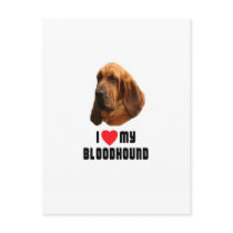 I Love My Bloodhound Postcards
