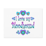 I Love My Bloodhound Postcard