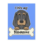 I Love My Bloodhound postcards