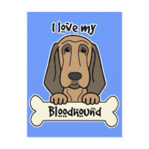 I Love My Bloodhound Post Cards