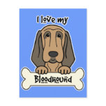I Love My Bloodhound postcards