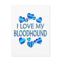 I Love My Bloodhound Postcards