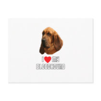 I Love My Bloodhound Postcard