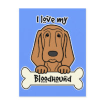 I Love My Bloodhound Post Card