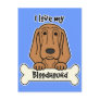 I Love My Bloodhound Post Card