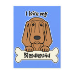 I Love My Bloodhound postcards