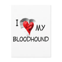 I Love My Bloodhound Postcard