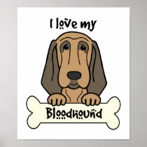 I Love My Bloodhound Posters