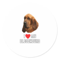 I Love My Bloodhound Round Sticker