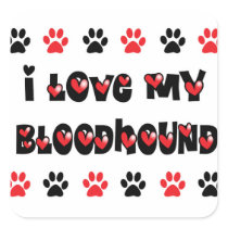 I Love My Bloodhound