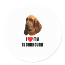 I Love My Bloodhound Sticker
