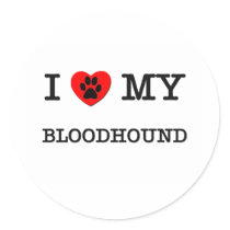 I LOVE MY BLOODHOUND
