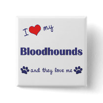I Love My Bloodhounds (Multiple Dogs) Pin