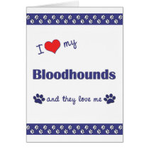 I Love My Bloodhounds (Multiple Dogs) Card