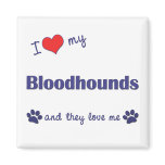 I Love My Bloodhounds (Multiple Dogs) magnets