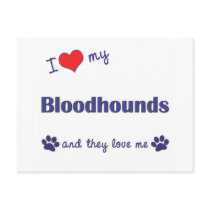 I Love My Bloodhounds (Multiple Dogs) Postcard