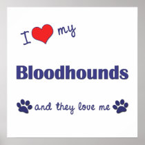 I Love My Bloodhounds (Multiple Dogs) Poster