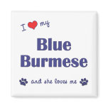 I Love My Blue Burmese (Female Cat) magnets