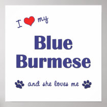 I Love My Blue Burmese (Female Cat) Poster