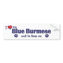 I Love My Blue Burmese (Male Cat) Bumper Sticker
