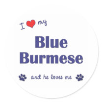 I Love My Blue Burmese (Male Cat) Round Sticker