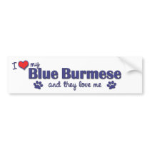 I Love My Blue Burmese (Multiple Cats) Bumper Stickers