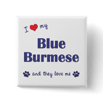 I Love My Blue Burmese (Multiple Cats) Pinback Buttons
