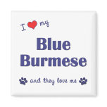 I Love My Blue Burmese (Multiple Cats) magnets