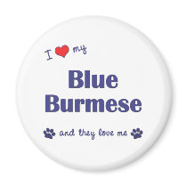 I Love My Blue Burmese (Multiple Cats) Refrigerator Magnets