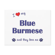 I Love My Blue Burmese (Multiple Cats) Postcard