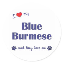 I Love My Blue Burmese (Multiple Cats) Round Sticker