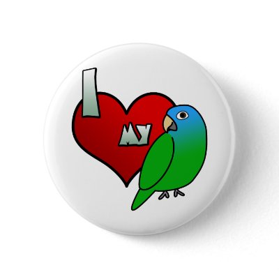 I Love my Blue Crowned Conure Button by MenagerieMayhem