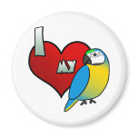 I Love my Blue & Gold Macaw magnets