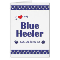 I Love My Blue Heeler (Female Dog) Greeting Cards